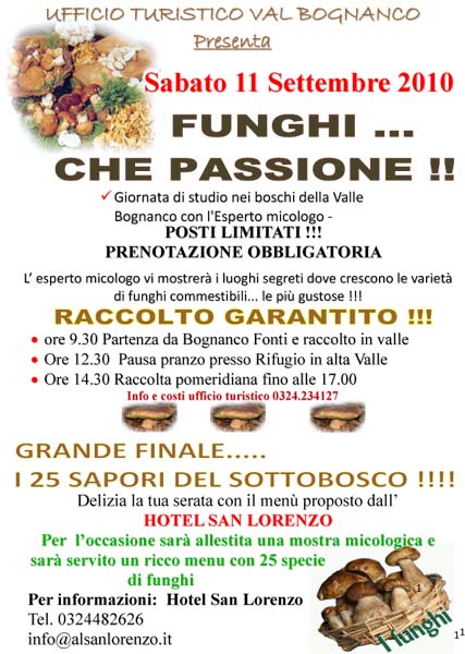 funghi_val_bognanco.jpg