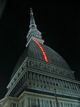 moleantonelliana_1.jpg