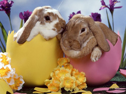 pasqua_2.jpg