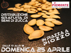 semi_zucca__2010.jpg