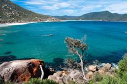 vacanze_2010.jpg