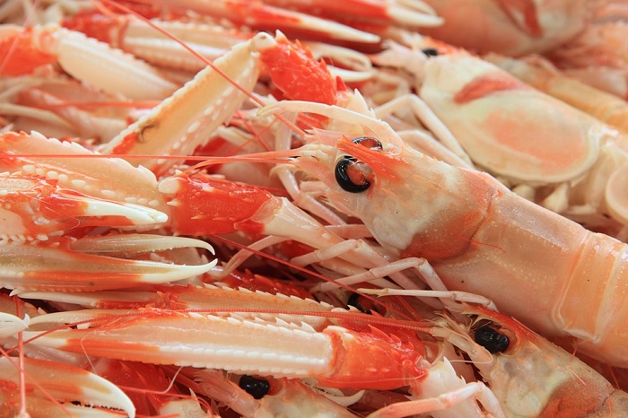 cucina sarda - pesce