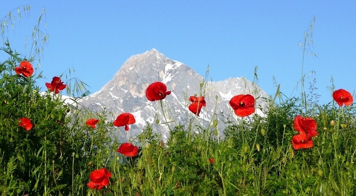 Pescasseroli Parco Nazionale d'Abruzzo