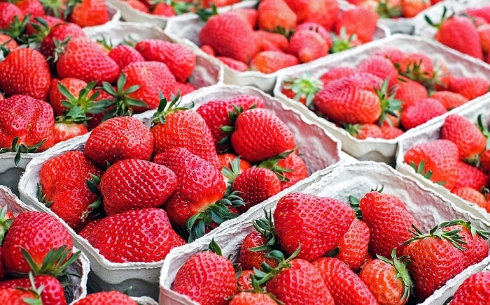 sagra delle fragole di Nemi