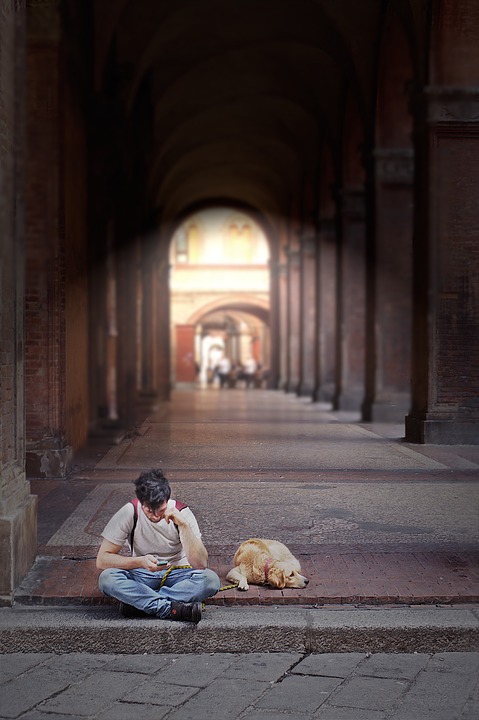 Cosa vedere a Bologna