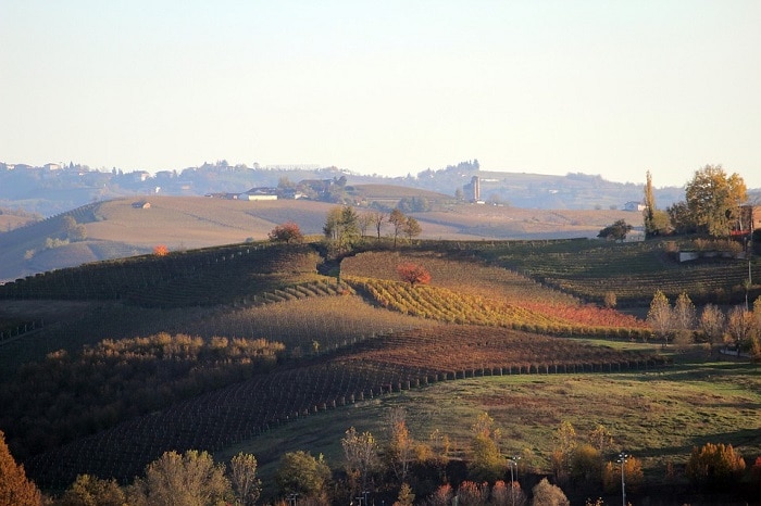 Foliage in Italia - Langhe