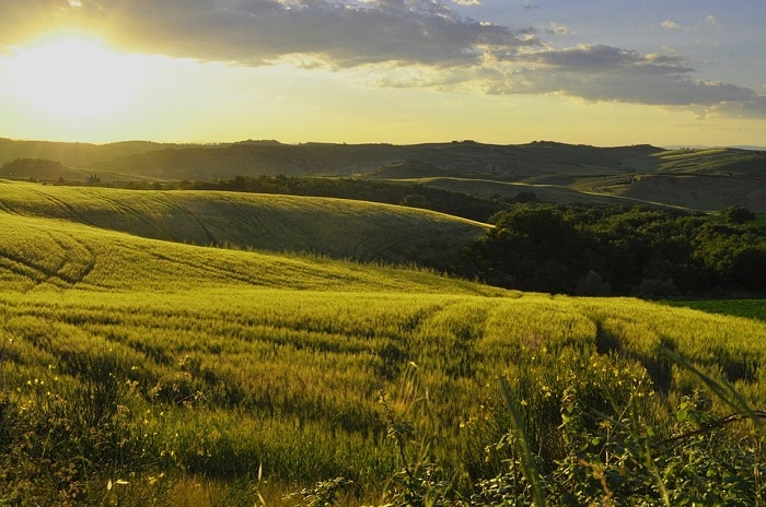 #iorestoinitalia campagna